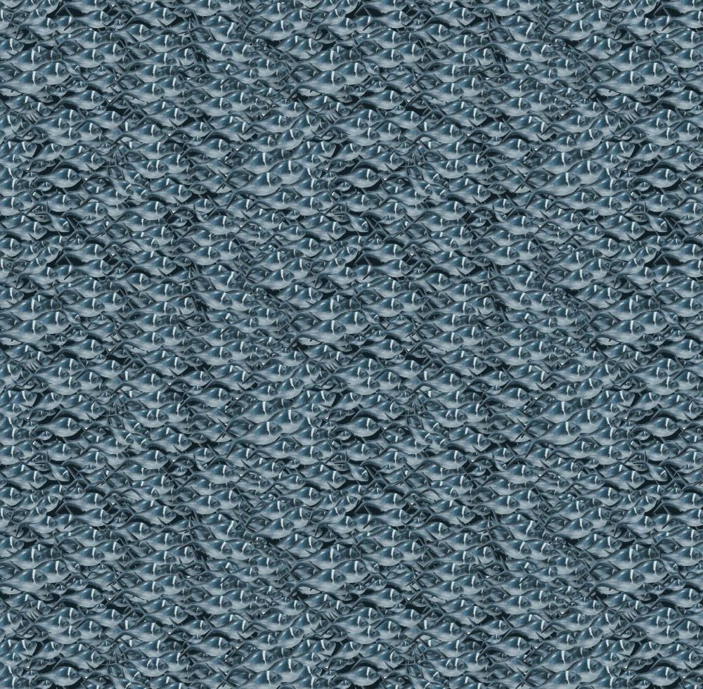 School of fish Wallpaper